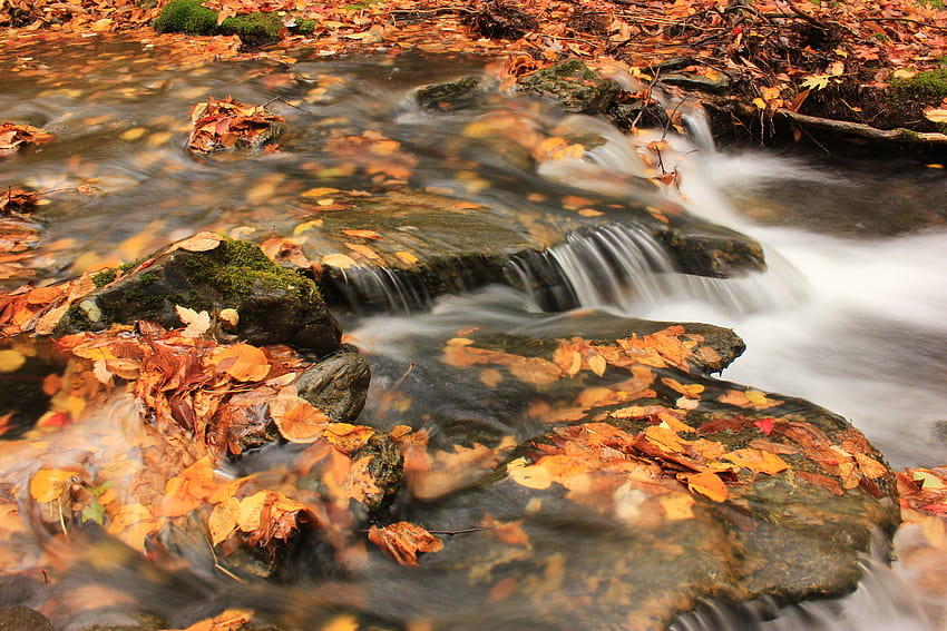 : longexposure, autumn, fall, nature, water, beautiful, landscape, landscapes, waterfall, colorful, hiking, Earth, exploring, ngc, newengland, autumncolors, fallfoliage, explore, waterfalls, exquisite, majestic, Discovery, nationalgeographic, autumn hiking HD wallpaper