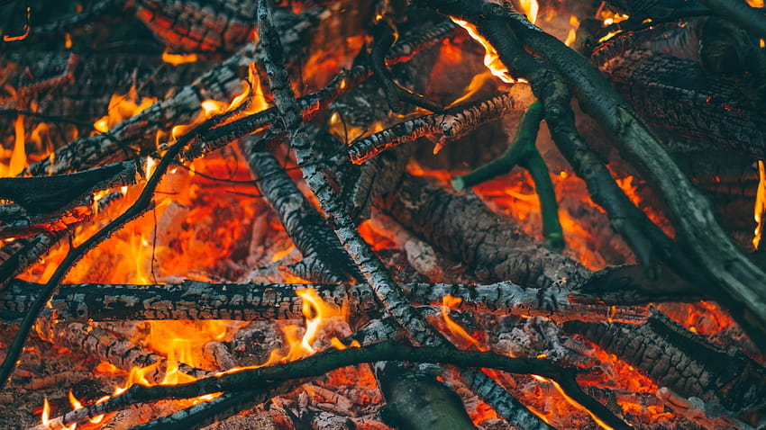 Firewood, carbon, fire 3840x2160 U , charcoal HD wallpaper