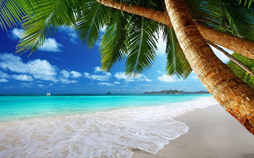 Paisaje de playa tropical, hermoso paisaje oceánico fondo de pantalla