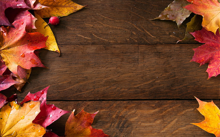 Autumn Backgrounds Group, autumn banner HD wallpaper | Pxfuel