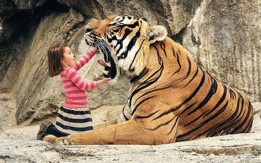 brunettes, women, animals, tigers, funny, manipulation, yawns, children ::, tiger and women HD wallpaper
