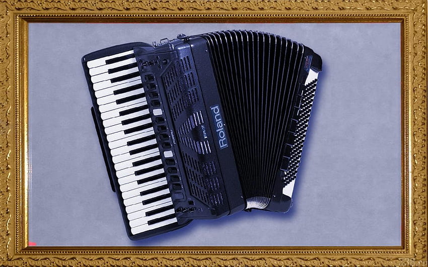 Accordion , Accordion, accordion HD wallpaper