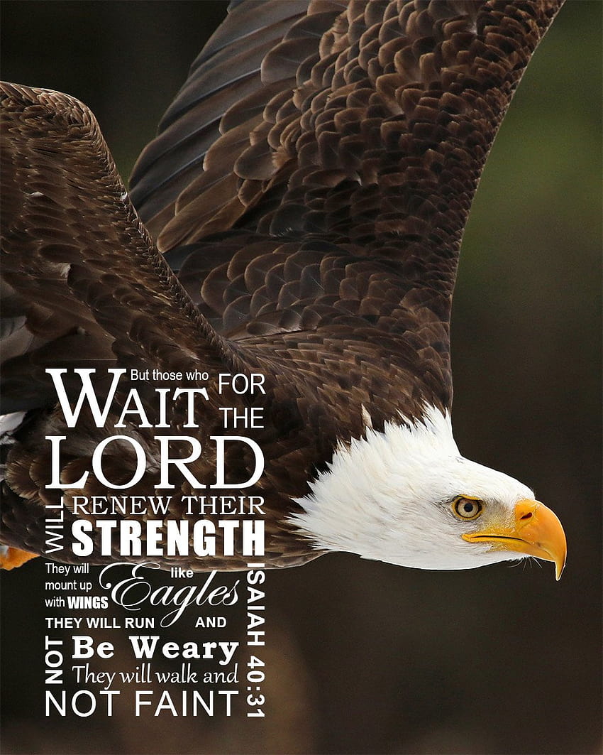 Isaiah 40:31 Wings Like Eagles HD phone wallpaper
