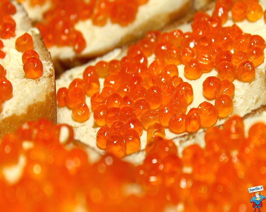 Caviar • HD wallpaper