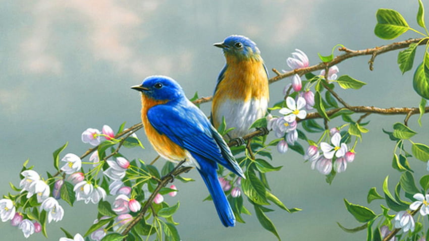 นกกระจอกน่ารักสองตัวนั่งอยู่บนกิ่งไม้ นกสองตัว วอลล์เปเปอร์ HD