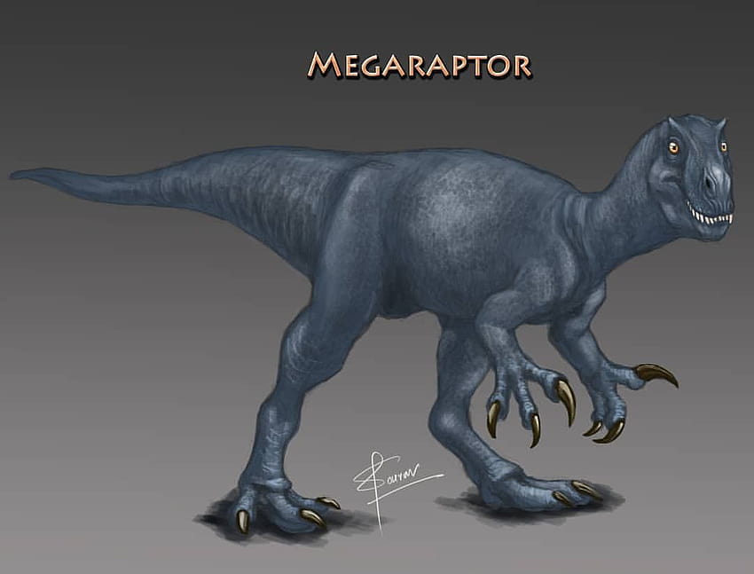 MEGARAPTOR Reconstruction, indoraptor vs megaraptor HD wallpaper