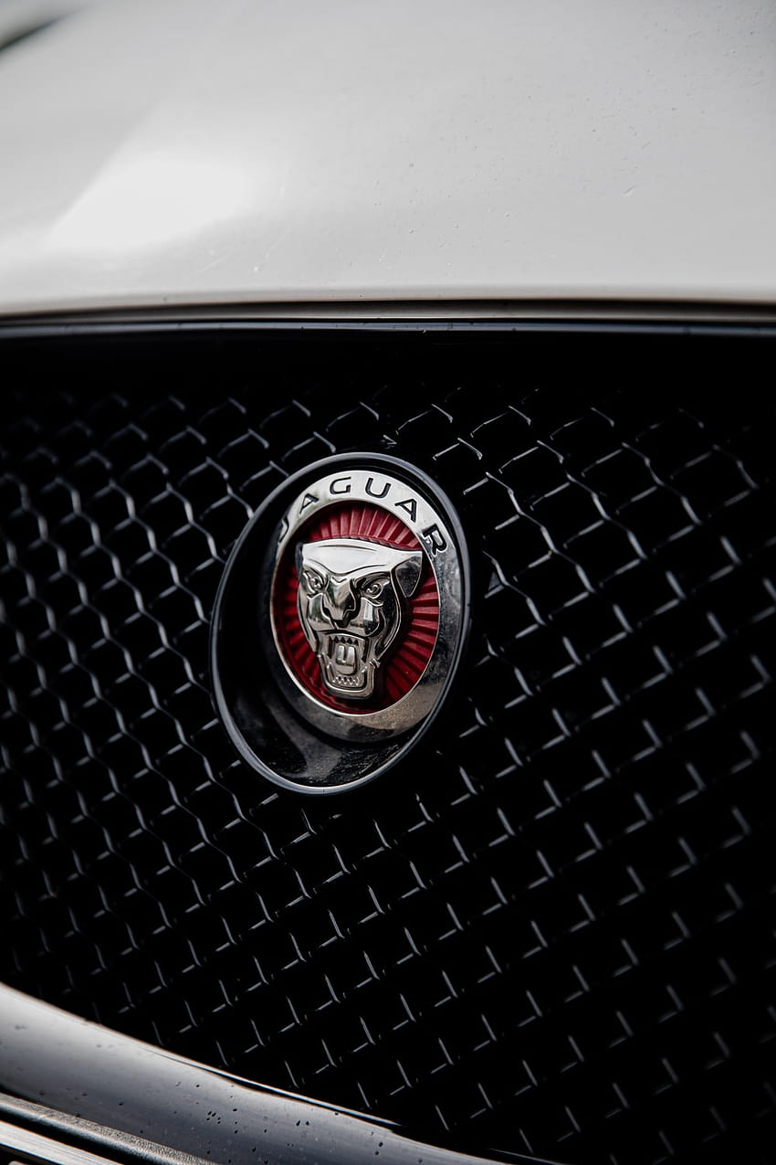siyah ve gümüş ford mustang amblemi – Jaguar, jaguar araba logosu HD telefon duvar kağıdı