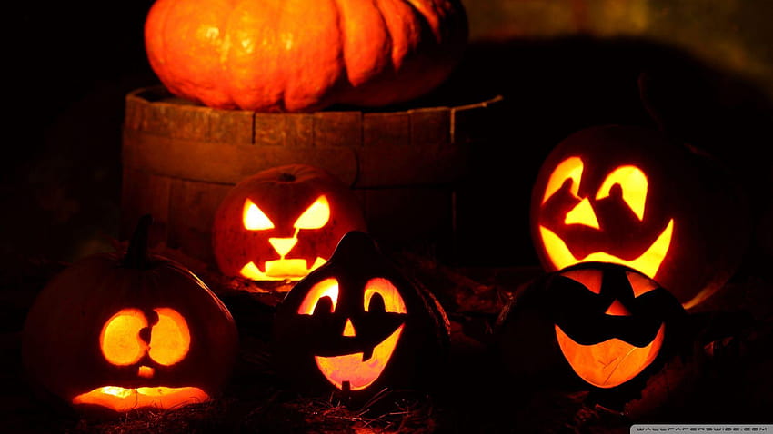 50 Best Halloween Pumpkin, cute pumpkins HD wallpaper | Pxfuel