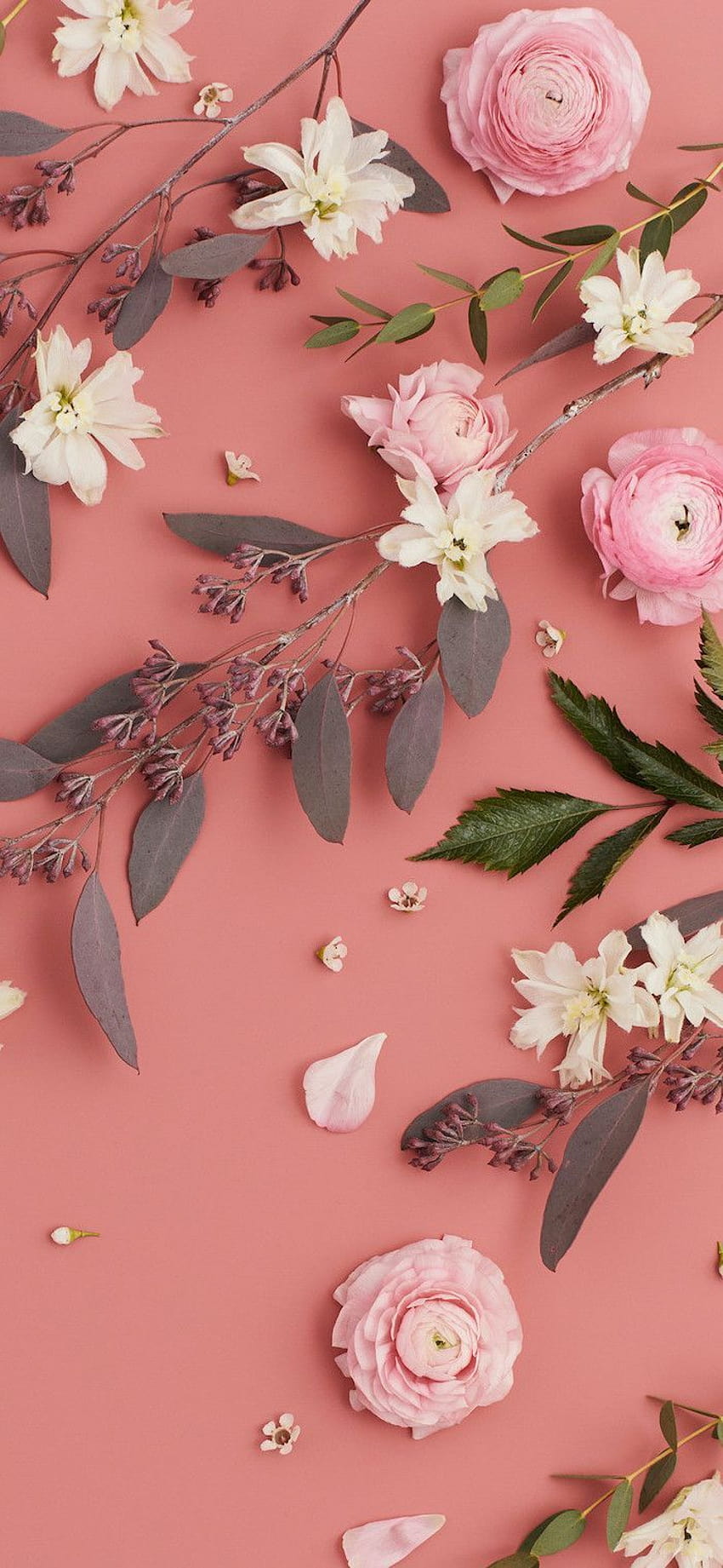 aesthetic floral design HD phone wallpaper