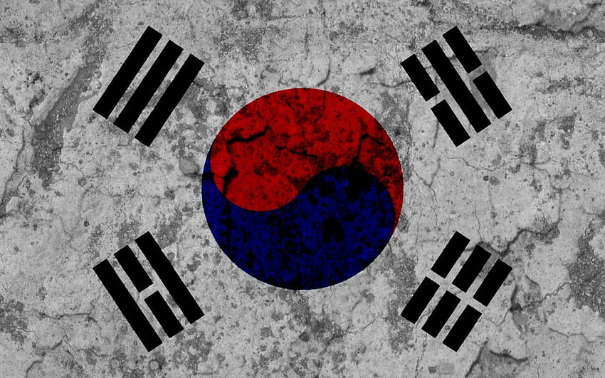 Flag Of South Korea Full and Backgrounds, korea flag HD wallpaper