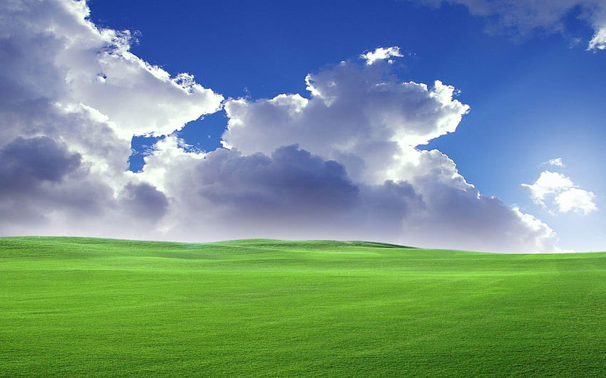 4 Bliss, Windows XP 기본 검정 HD 월페이퍼