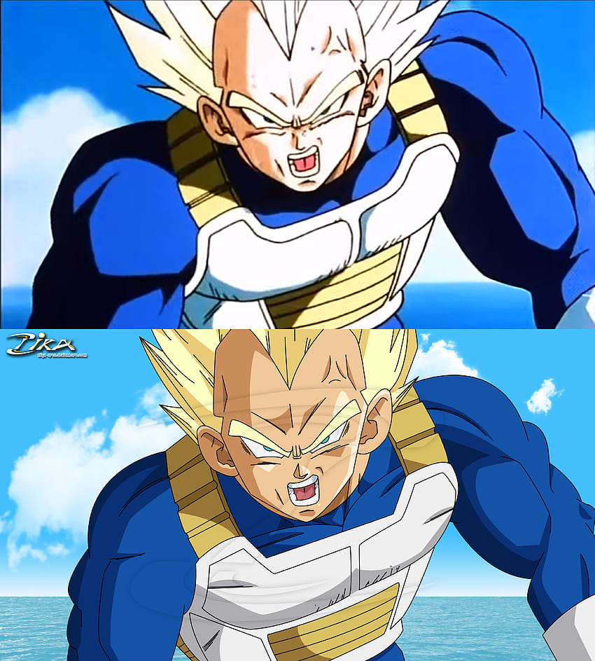 Super Vegeta charging a final flash : r/dbz