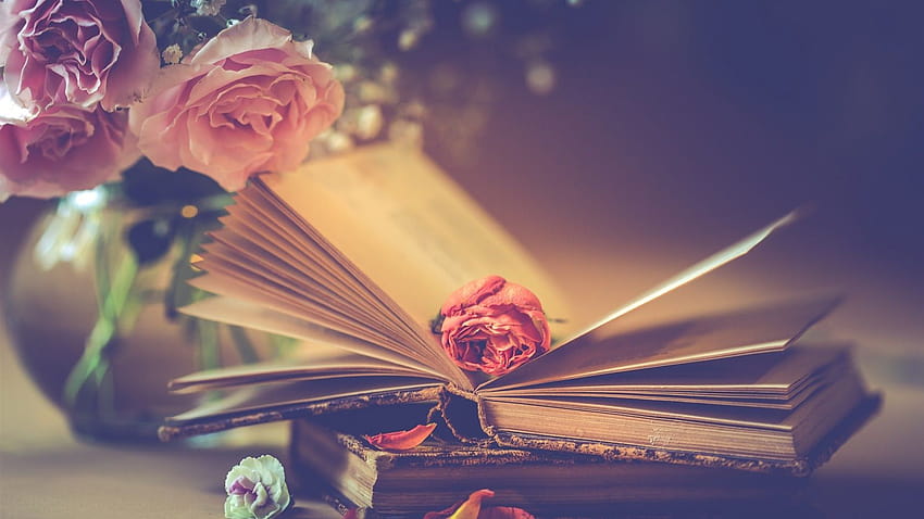 Mawar merah muda dan buku, romantis 1920x1200, musim semi dan buku Wallpaper HD