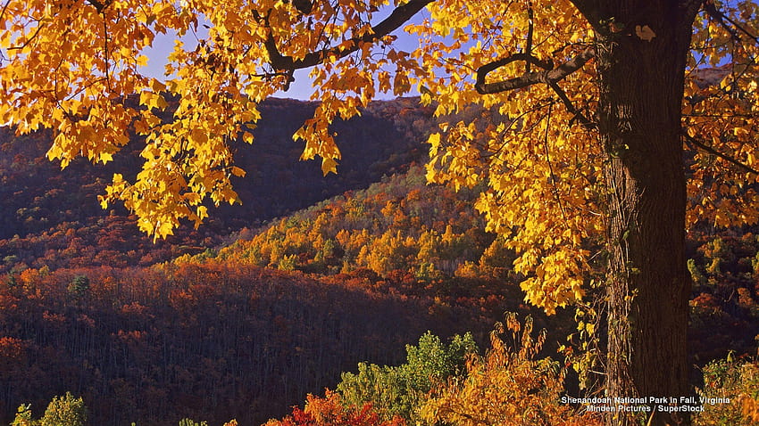 Shenandoah National Park in Virginia Full and HD wallpaper