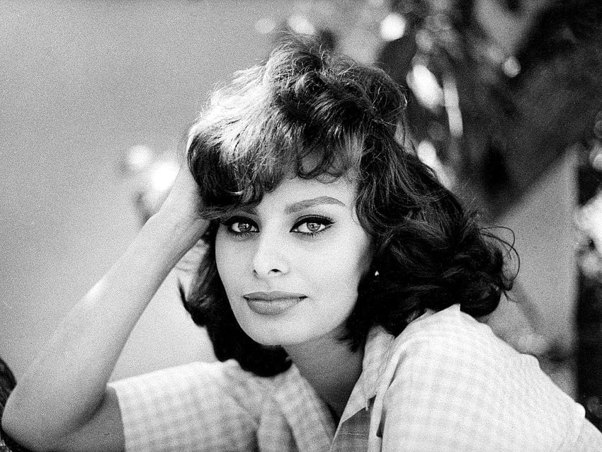 s de Sophia Loren s fondo de pantalla