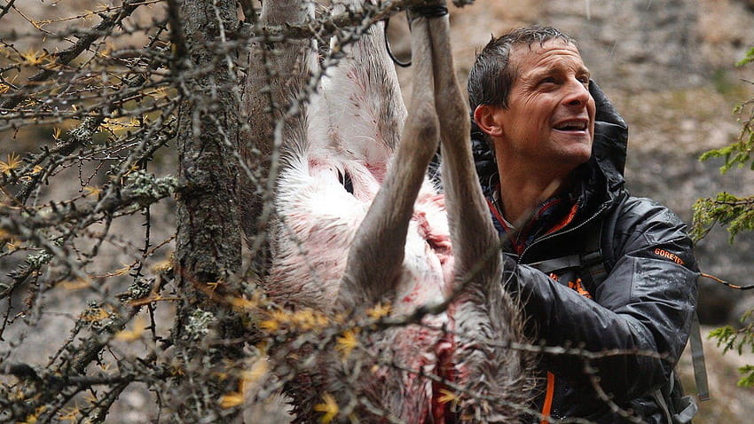 Born surviver Bear Grylls eat different kinds of thing you can see HD wallpaper
