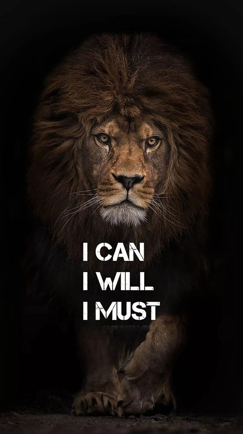 Pin on A NEVER GIVE UP, lion attitude HD phone wallpaper
