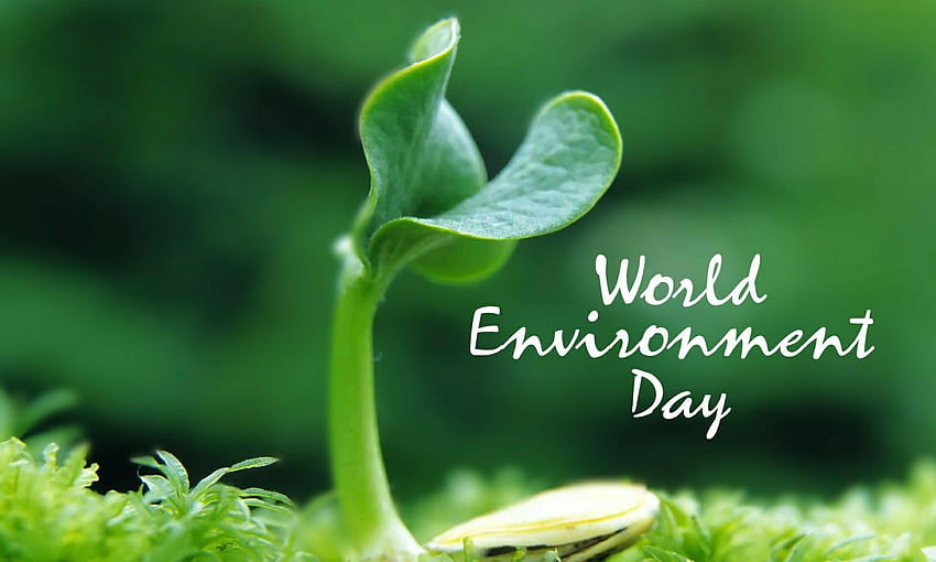 Journée mondiale de l'environnement Fond d'écran HD
