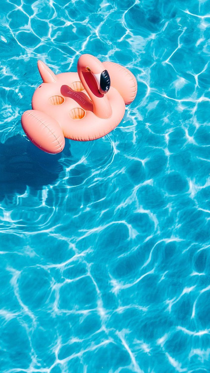 Piscine, eau, flamant rose, été, arrière-plans – Arrière-plans sympas, piscine esthétique Fond d'écran de téléphone HD