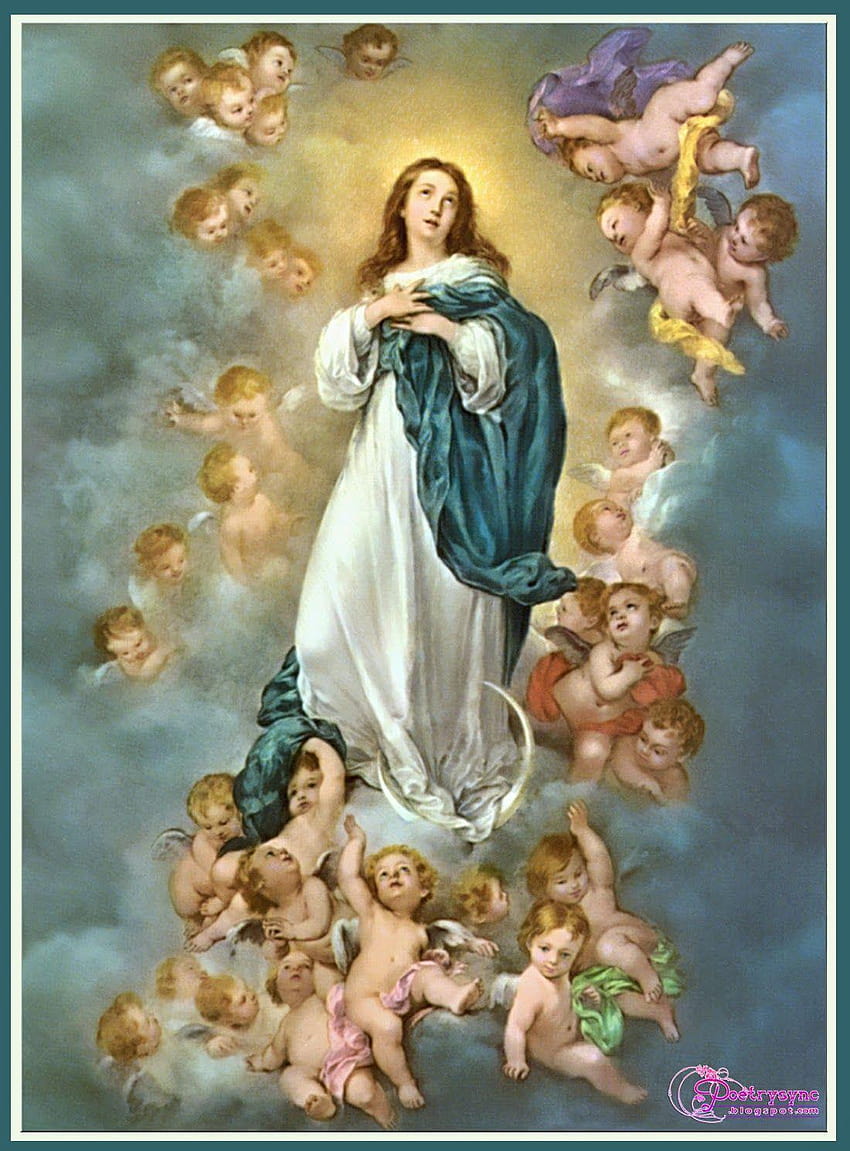 Merry Chrismast and Happy New Year: Feast of the Immaculate, holy mary HD phone wallpaper
