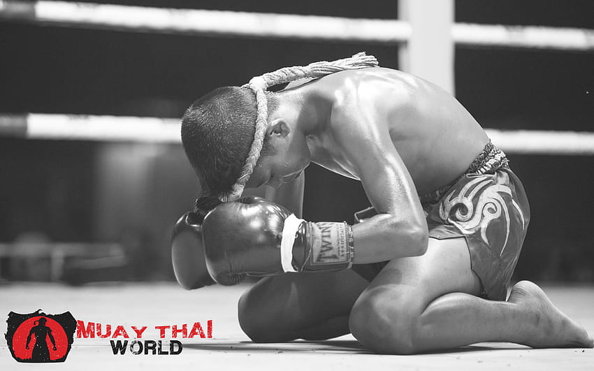  Muay Thai, boxeo tailandés fondo de pantalla