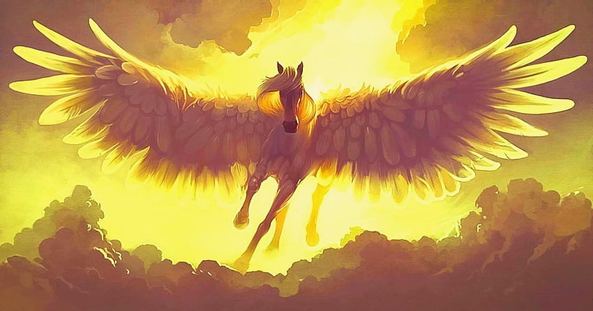 Pegasus Pegasus and backgrounds HD wallpaper