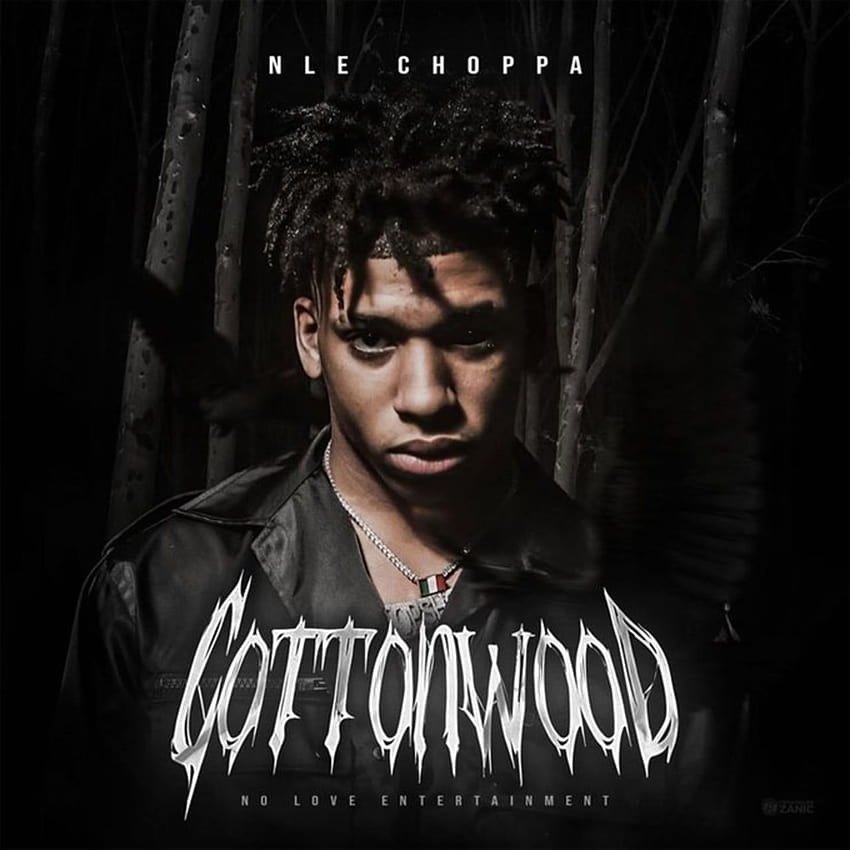 NLE Choppa Drops 'Cottonwood' Project, nle choppa shotta flow 2 HD phone wallpaper