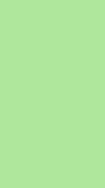 Download Pastel Light Green Plain Wallpaper  Wallpaperscom