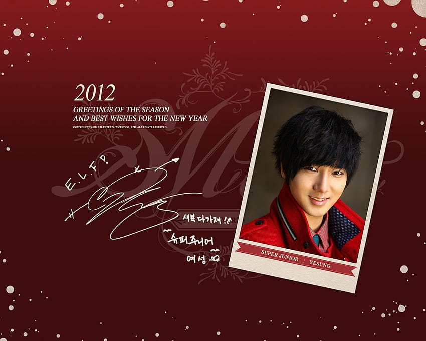 SUPER JUNIOR High Definition . and own, yesung HD wallpaper