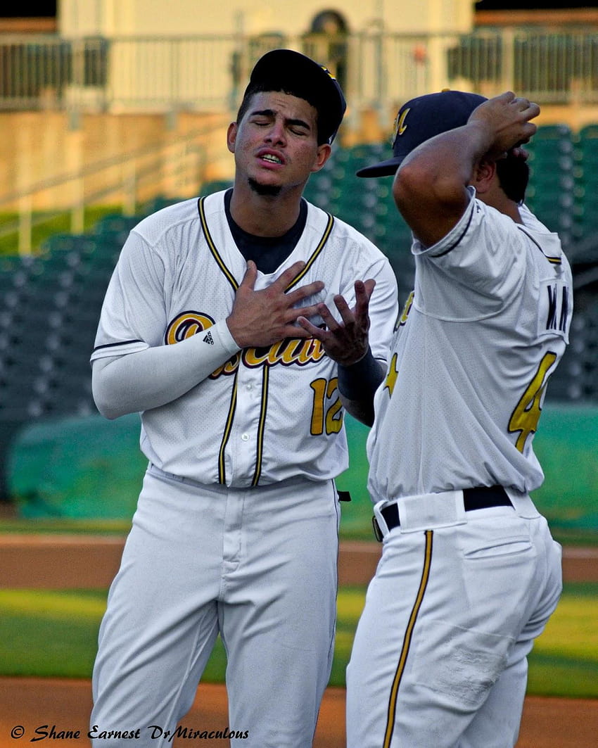The Montgomery Baseball Blog: Willy Adames Plays Serious HD phone wallpaper