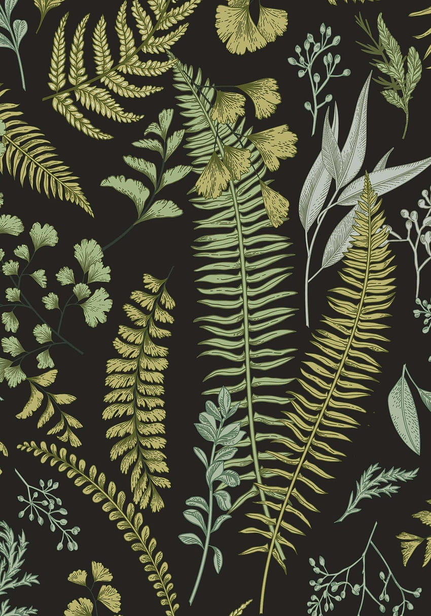 Vintage Botanical Wallpaper Mural Tropical Surprise  Cara Saven