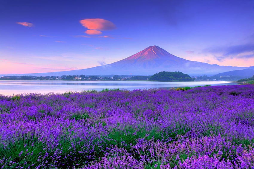 5 топ места, които да посетите, ако имате само един ден във Фуджи Кавагучико, пролетна цветна градина планина Фуджи езеро Кавагучи HD тапет