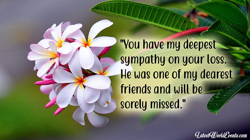 Condolence quotes for a friend & Deepest sympathy and quotes, condolences HD wallpaper