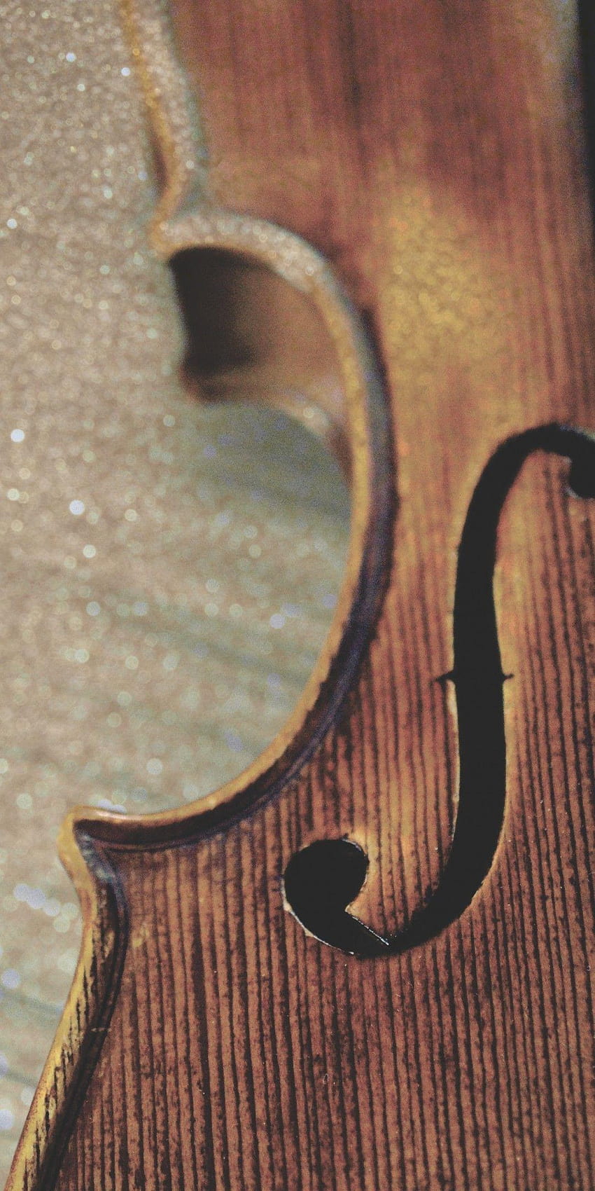 1080x2160 Violin, Strings, Instrument, Music for, double bass HD phone wallpaper