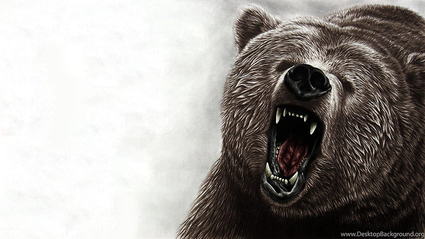 Angry Bear Art iPhone Wallpaper  Bear art Art wallpaper iphone Bear  artwork