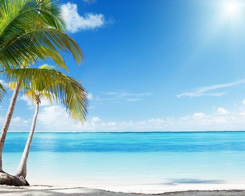 Tropical Beach Paradise Backgrounds HD wallpaper | Pxfuel