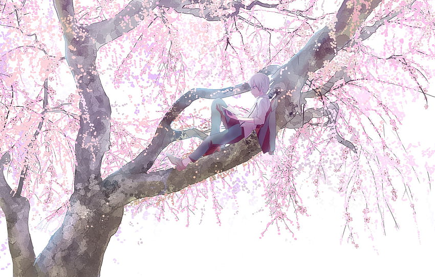 branches, stay, spring, boy, Sakura, flowering, on the tree, big tree, reading a book , section арт HD wallpaper