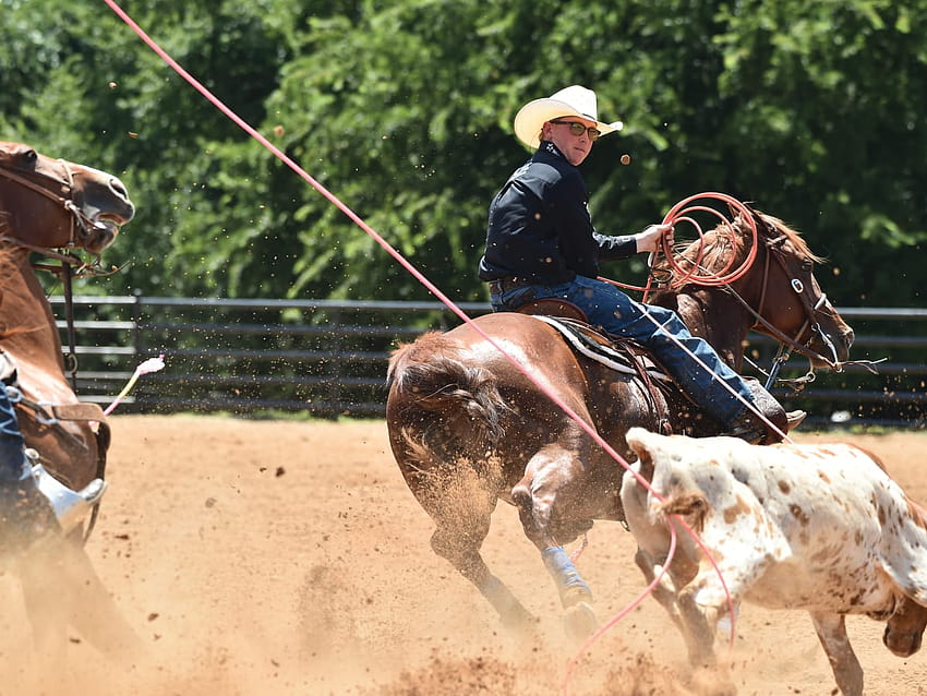 Heading, from a Heeler's Point of View with Clint Summers, team roping HD wallpaper