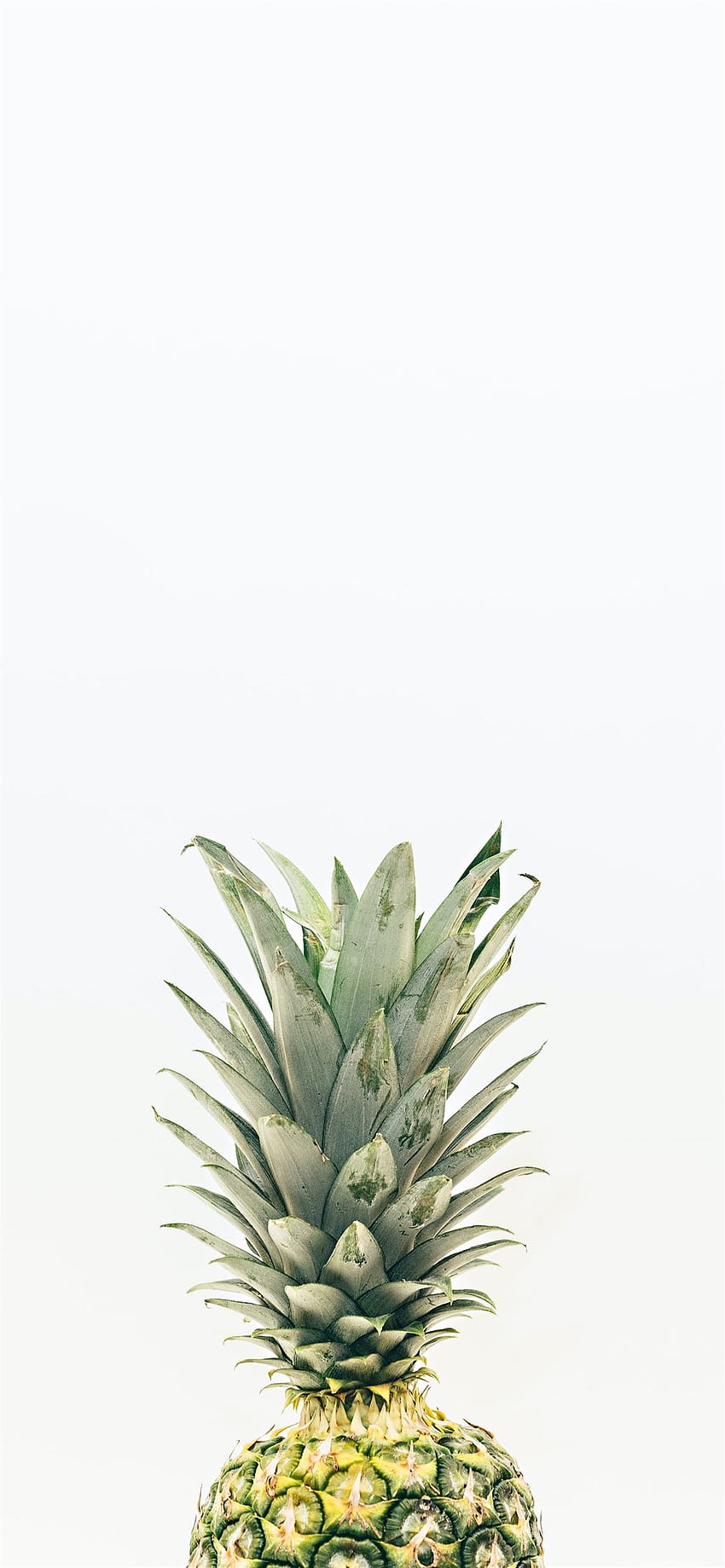 pineapple fruit iPhone 12 HD phone wallpaper