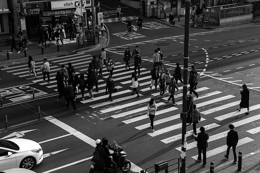 3090336 black and white, busy, crossing, crossroads, life, crossing road HD wallpaper