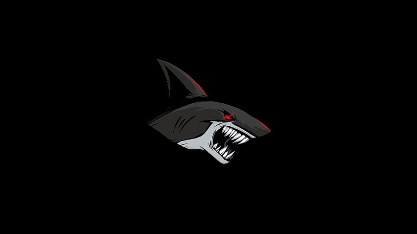 Тъмна акула, художник, фонове и лого на акула HD тапет