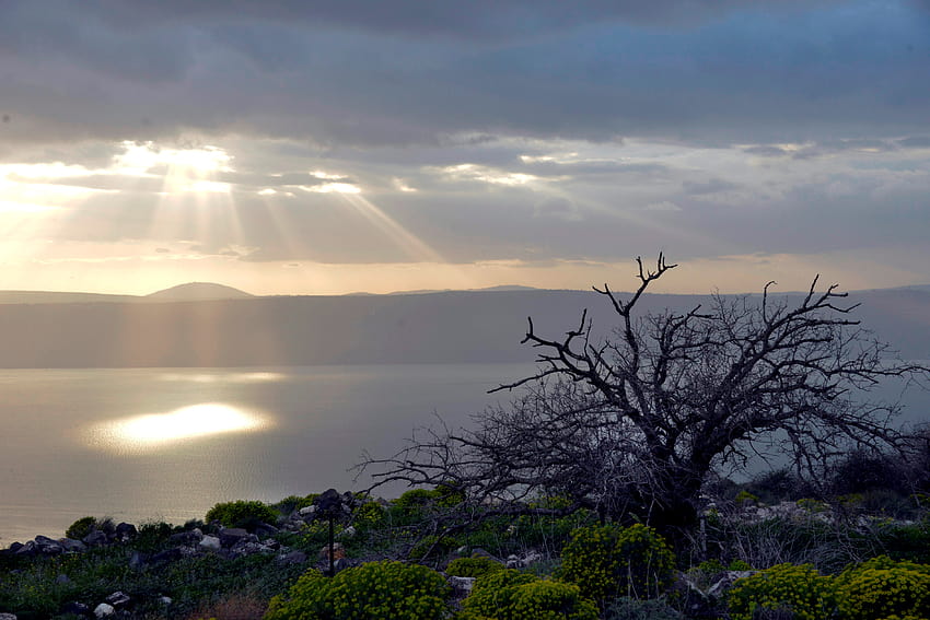 The greatest depressions: Finding Earth's lowest spots, galilee HD wallpaper