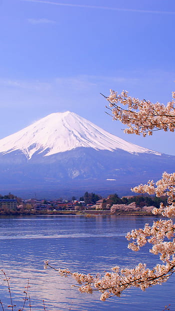Mt Fuji Mobile Wallpaper Images Free Download on Lovepik | 400258339