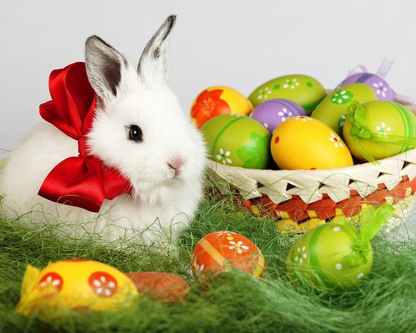 Cute Easter Bunny, easter symbols HD wallpaper