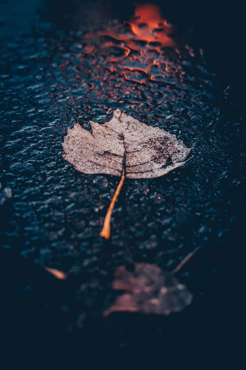 35 Rain [], rainy weather aesthetic HD phone wallpaper
