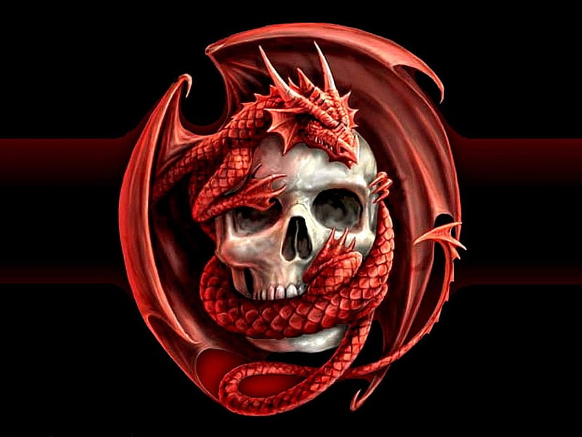 Horror Live, scary dragon HD wallpaper | Pxfuel