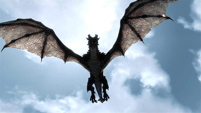 In The Clouds Flying Dragon And, Dragon Png Hd Wallpaper 