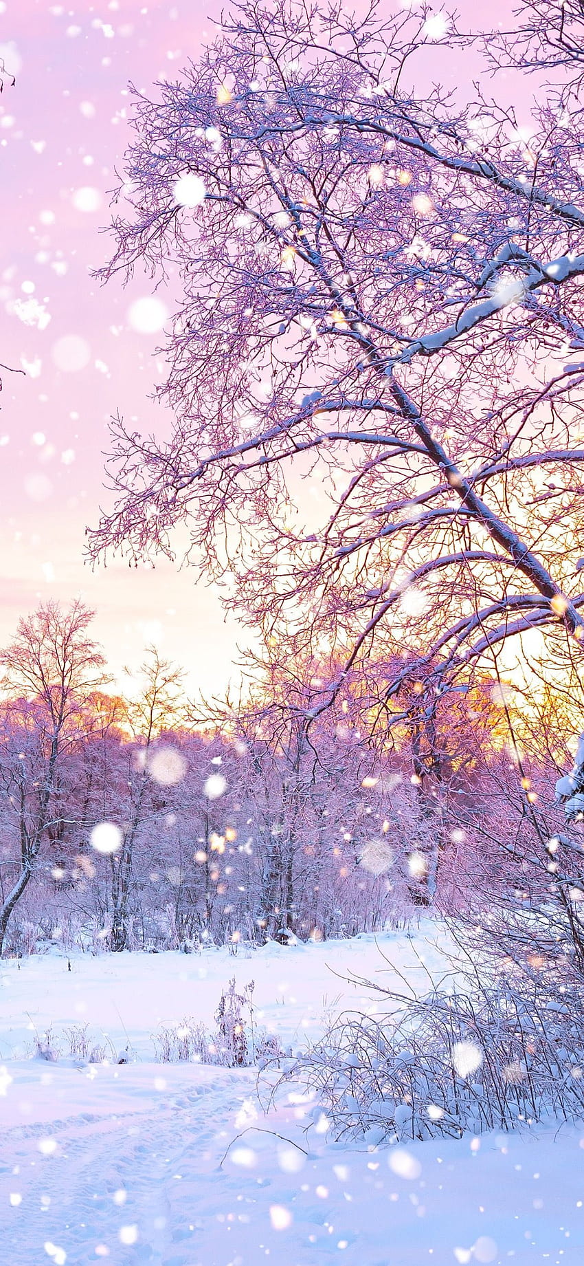 Розов сняг, розова зимна естетика HD тапет за телефон