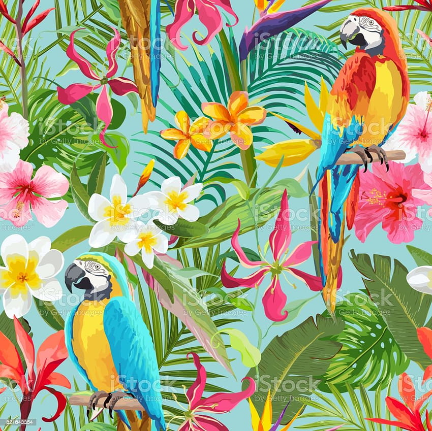 Tropikal Çiçekler Ve Papağanlar Sorunsuz Vektör Çiçek Yaz Deseni Arka Planlar Dokular Tekstil Stok İllüstrasyonu, papağanlar ve çiçekler HD duvar kağıdı