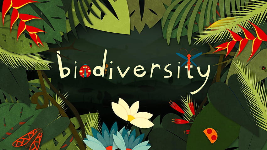 Was ist Biodiversität, biologische Vielfalt HD-Hintergrundbild